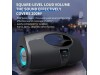 Zealot Portable Bluetooth Active Speaker Powerful Boombox 40W P1
